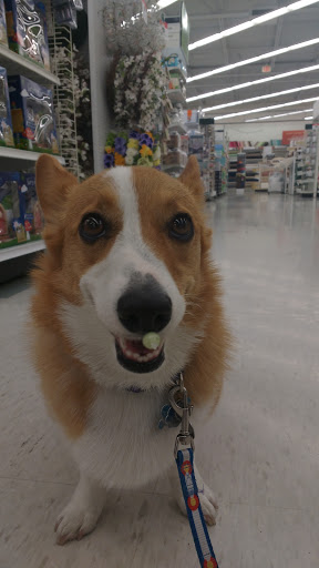 Fabric Store «Jo-Ann Fabrics and Crafts», reviews and photos, 1601 Fall River Dr, Loveland, CO 80537, USA