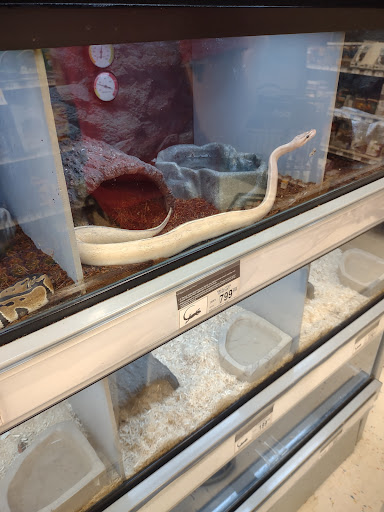 Pet Supply Store «Petco Animal Supplies», reviews and photos, 825 Hartford Turnpike, Waterford, CT 06385, USA