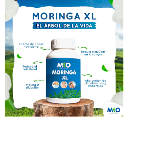 Maurtua 351, Ica 11001