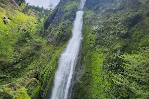 Starvation Creek Falls image