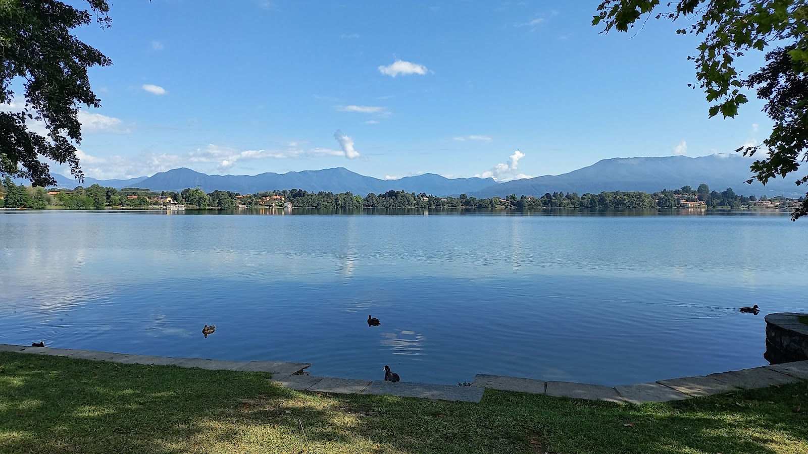 Foto di Lago di Monate con una superficie del erba