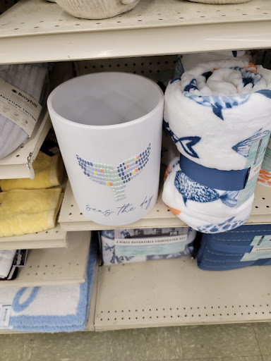 Discount Store «Big Lots», reviews and photos, 924 N Main St, Suffolk, VA 23434, USA