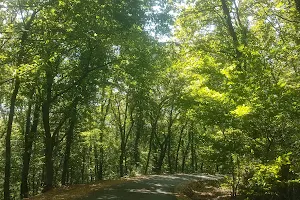 Fatih Forest Nature Park image