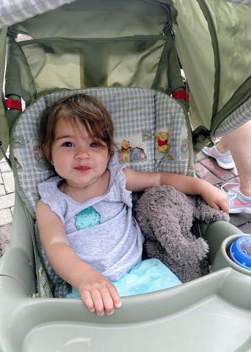 Book Store «Read Between the Lynes», reviews and photos, 111 E Van Buren St, Woodstock, IL 60098, USA