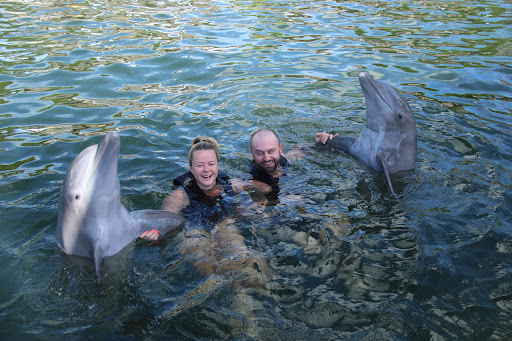 Recreation «Dolphins Plus Oceanside», reviews and photos, 31 Corinne Pl, Key Largo, FL 33037, USA