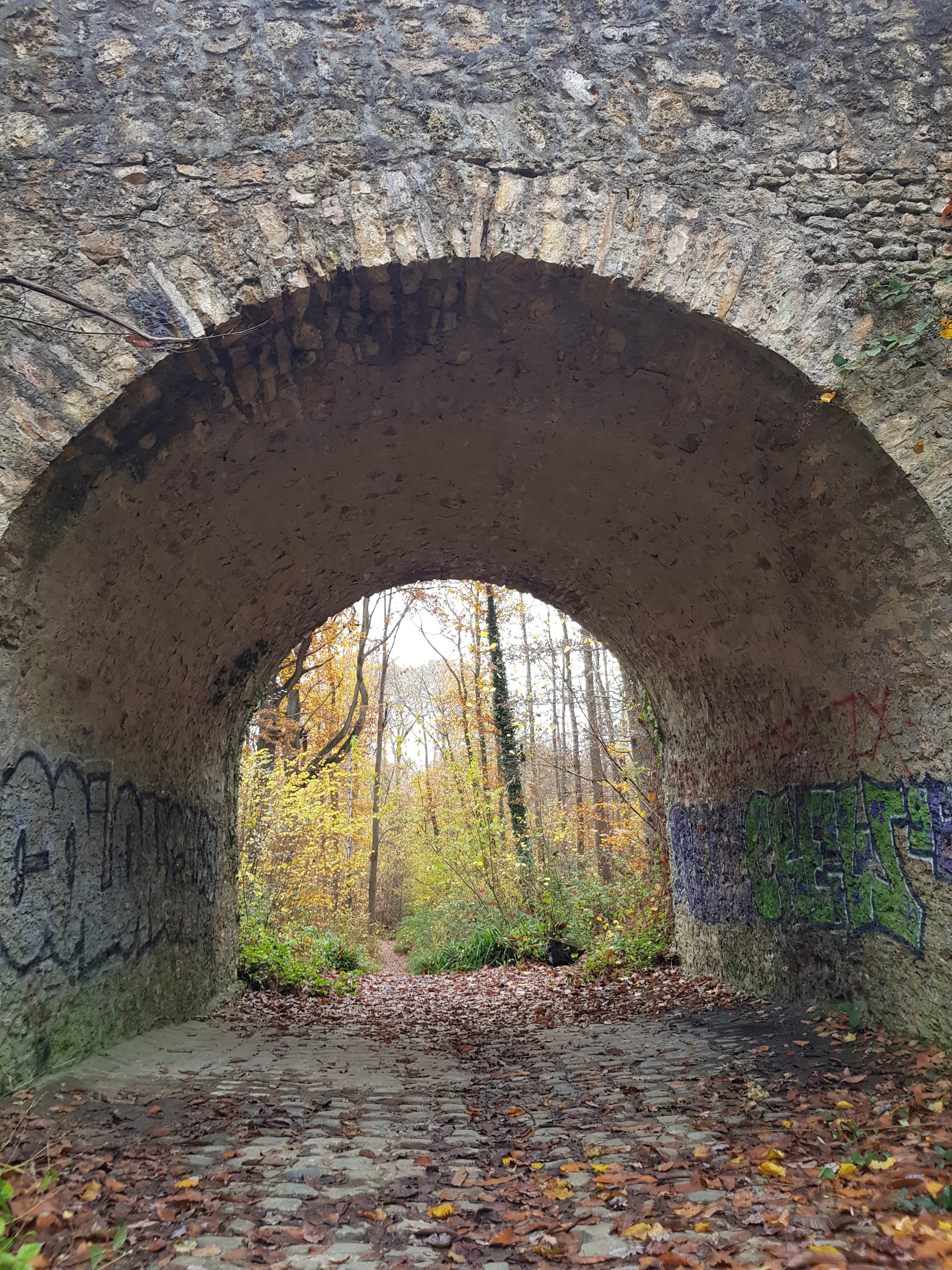 Photo n° 38 de l'avis de Brigitte.r fait le 02/11/2020 à 14:23