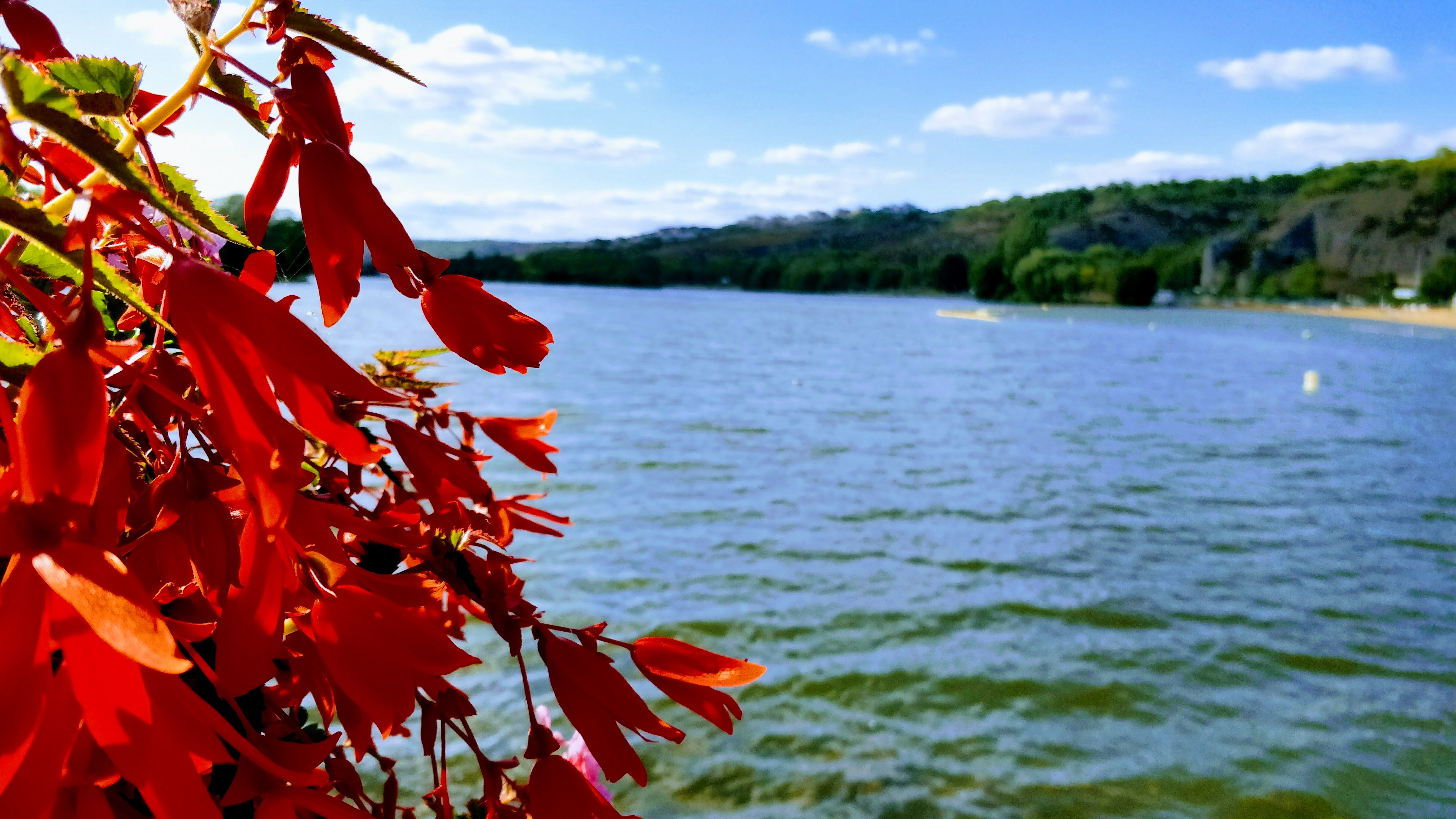 Photo n° 1 de l'avis de Thierry.i fait le 20/08/2017 à 20:21