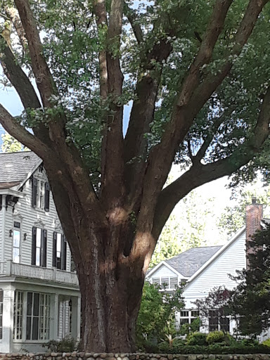 Wedding Venue «River Stone Manor», reviews and photos, 1437 Amsterdam Rd, Schenectady, NY 12302, USA