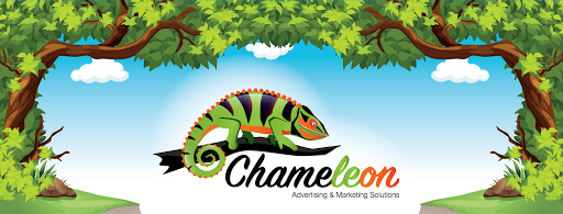 Chameleon Advertising & Marketing Solutions