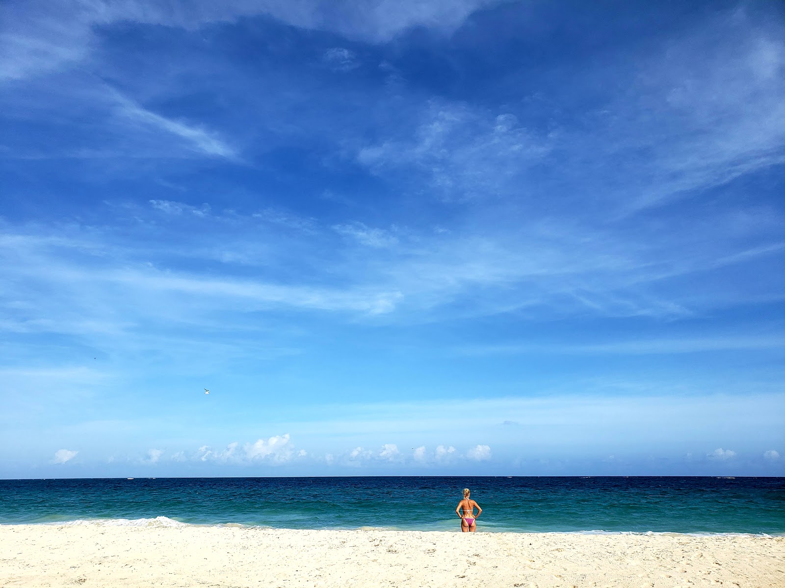 Sol Caribe beach的照片 带有碧绿色水表面