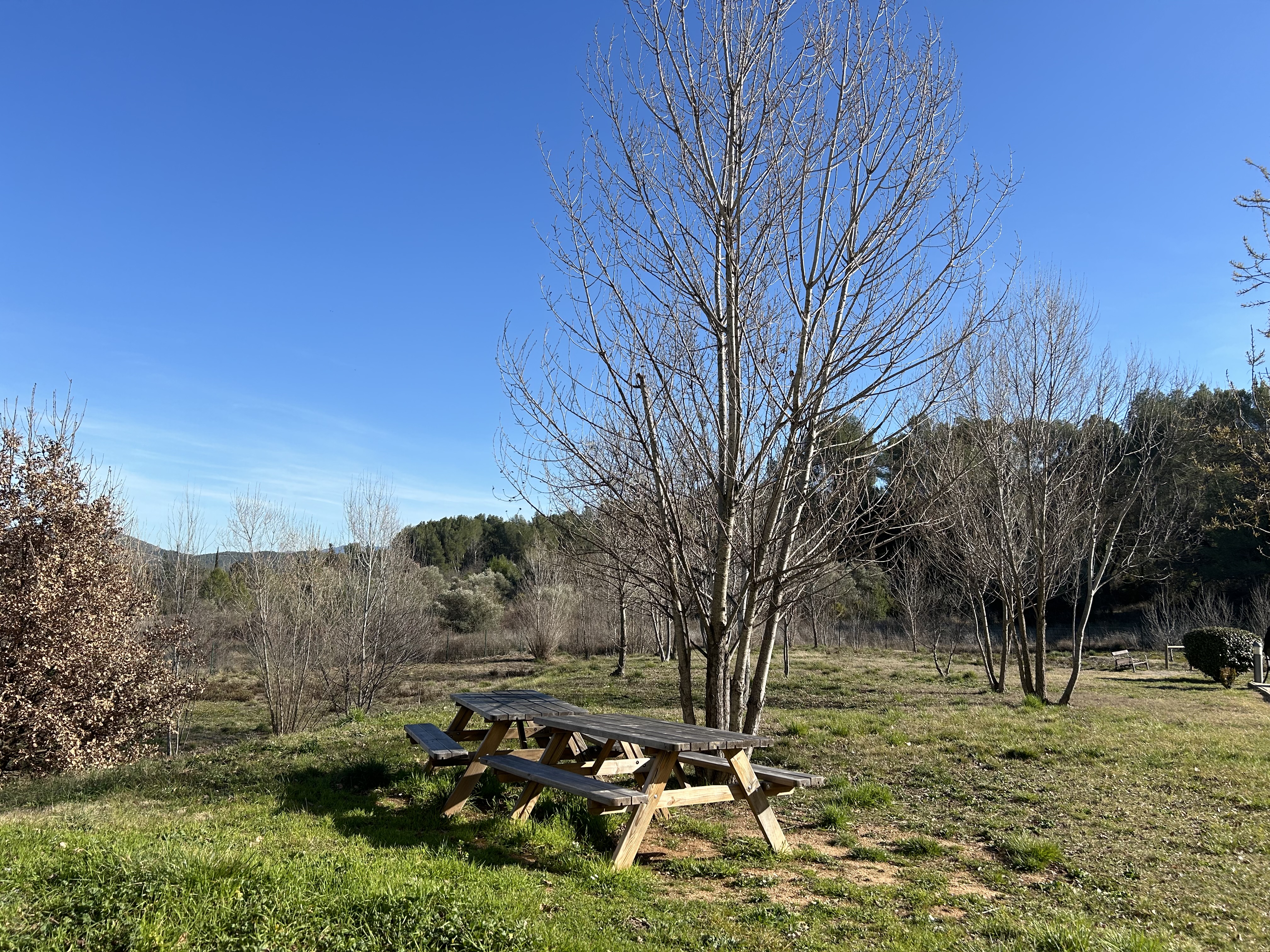 Photo n° 2 de l'avis de DONGIER.a fait le 19/03/2024 à 16:40