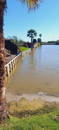 Enrique landscaping y sprinkler - Photo 4 - Car repair in Brownsville, TX, Brownsville