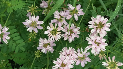 Park «North Hydro Park», reviews and photos, 2599 Bridge Rd, Ypsilanti, MI 48198, USA