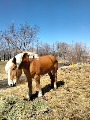 Natura Farms, 19060 Manning Trail N, Marine on St Croix, MN 55047, USA, 