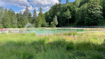 Baignade bio de Chantemerle à Saint-Chaffrey