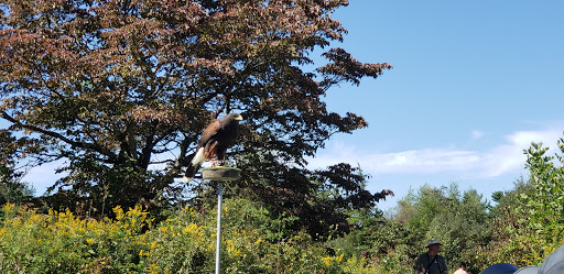 Nature Preserve «Audubon Greenwich», reviews and photos, 613 Riversville Rd, Greenwich, CT 06831, USA