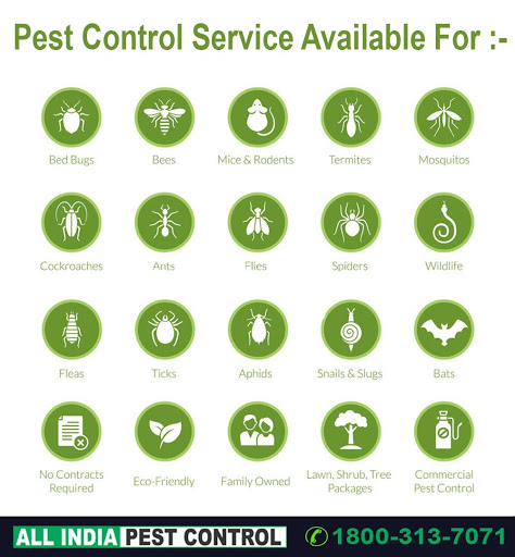 All India Pest Control