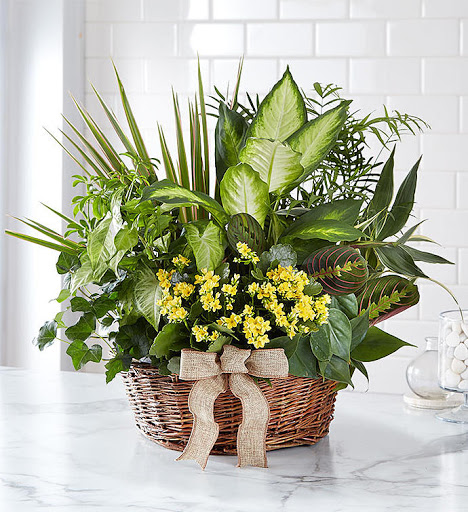 Florist «Heather and Vine», reviews and photos, 6960 Wolf Rd, Indian Head Park, IL 60525, USA