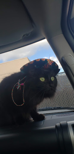 Used Car Dealer «Hola Auto Sales Inc», reviews and photos, 4416 Buford Hwy NE, Atlanta, GA 30341, USA