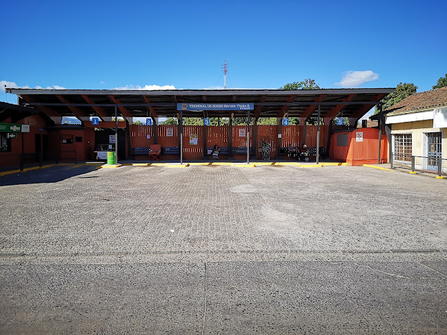 Opiniones de Terminal De Purén en Purén - Servicio de transporte