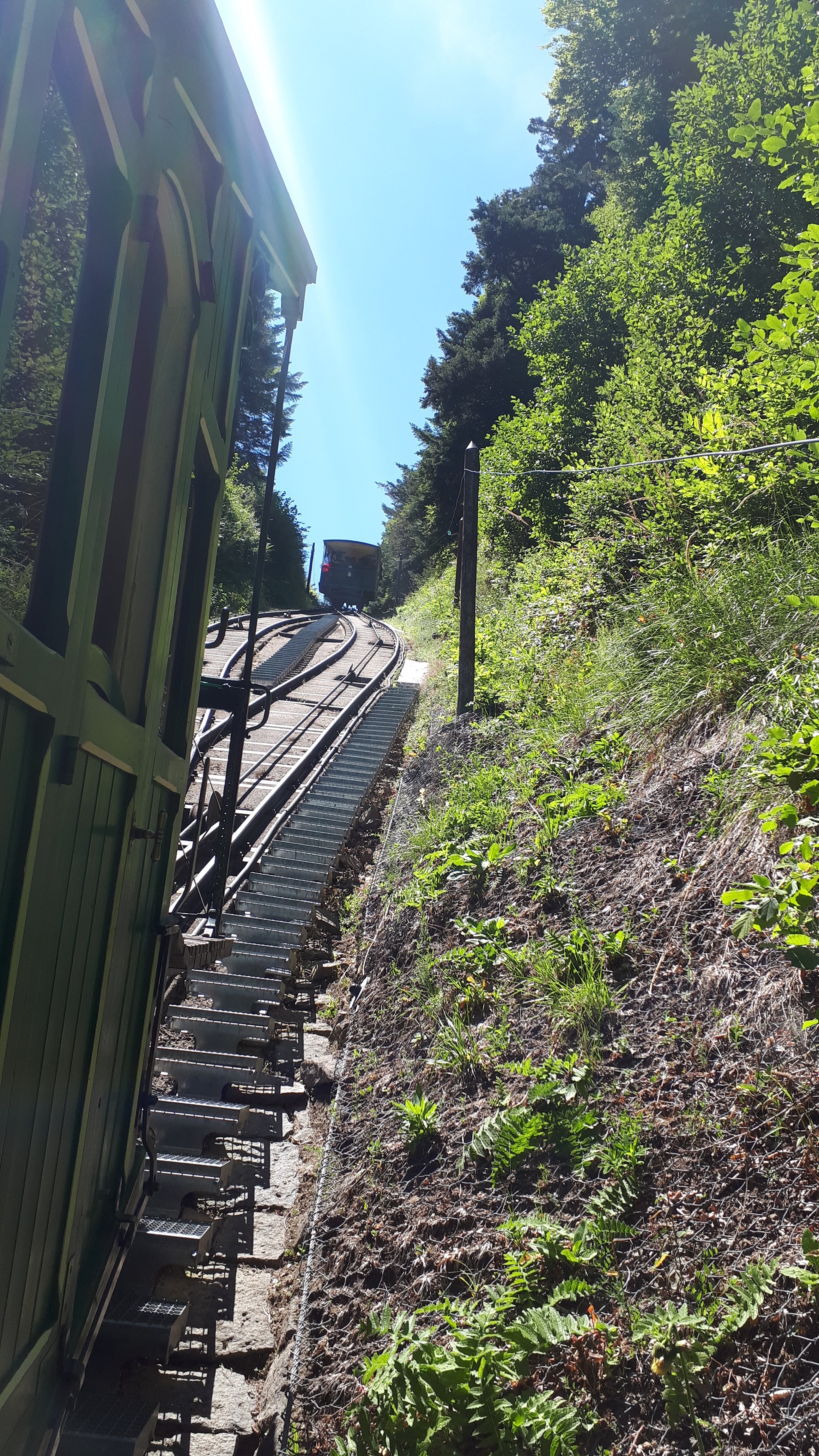 Photo n° 1 de l'avis de Marc.e fait le 02/08/2018 à 18:36