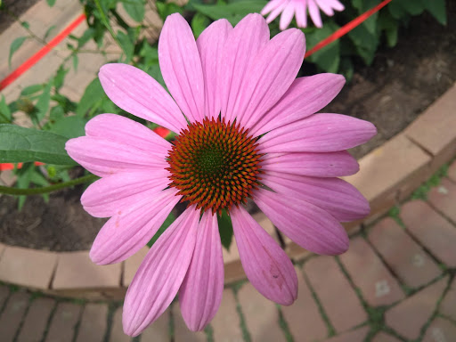 Botanical Garden «Beech Creek Botanical Garden & Nature Preserve», reviews and photos, 11929 Beech St NE, Alliance, OH 44601, USA