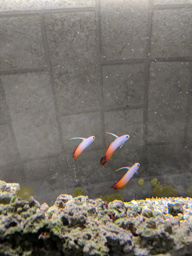 Pet Store «Pet Kingdom», reviews and photos, 2302 Central Ave, Kearney, NE 68847, USA