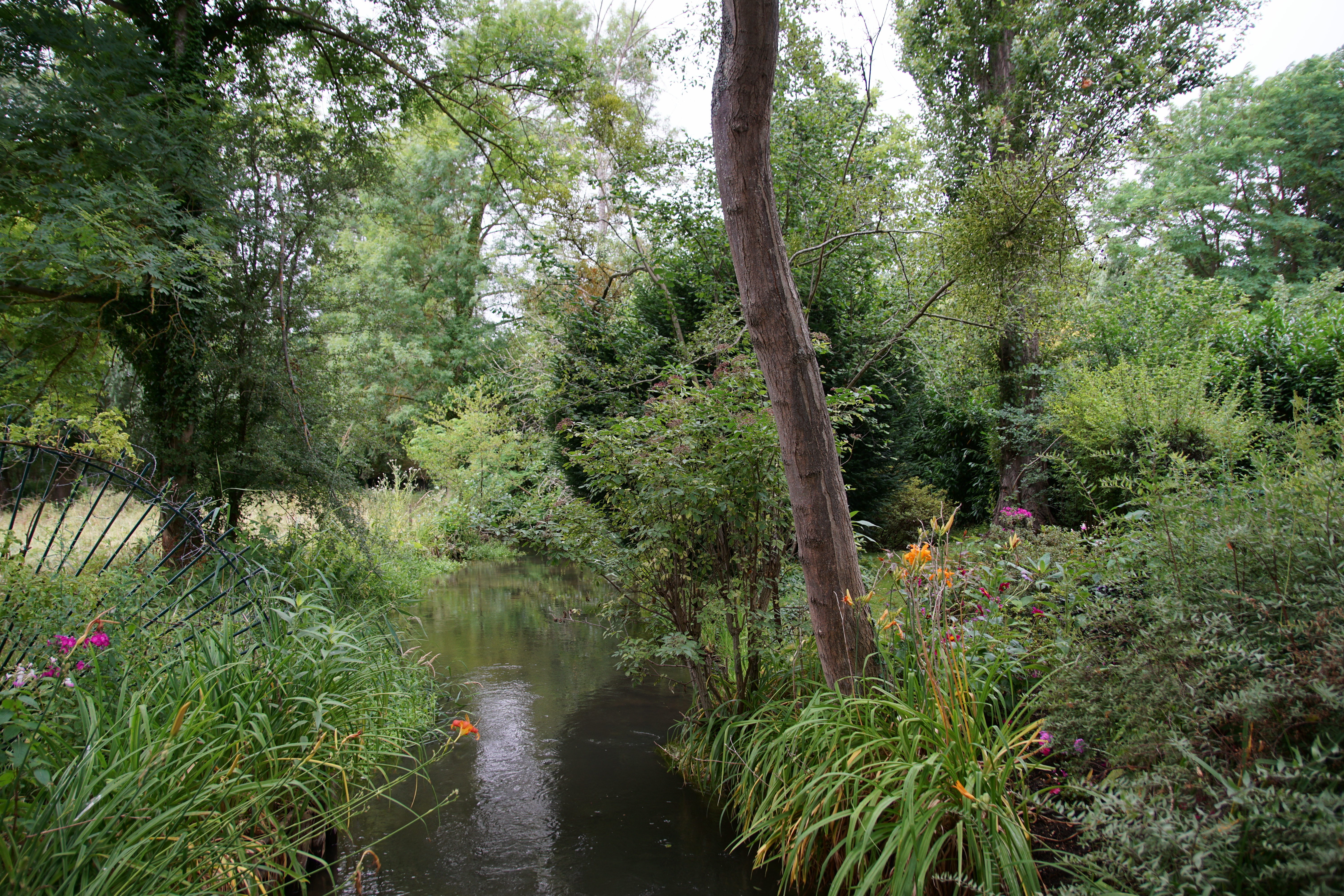 Photo n° 2 de l'avis de Alain.t fait le 01/02/2019 à 17:56