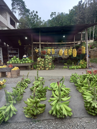 Puente de las frutas de Tamarindo