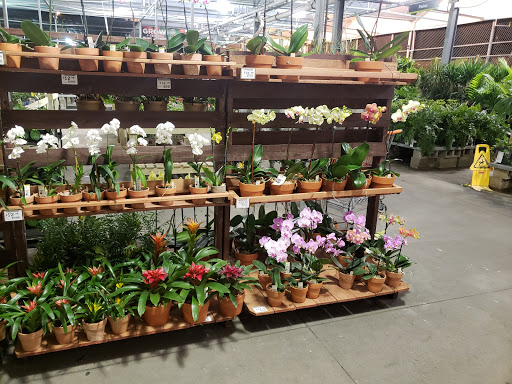 Home Improvement Store «The Home Depot», reviews and photos, 2303 US Hwy 27 S, Sebring, FL 33870, USA