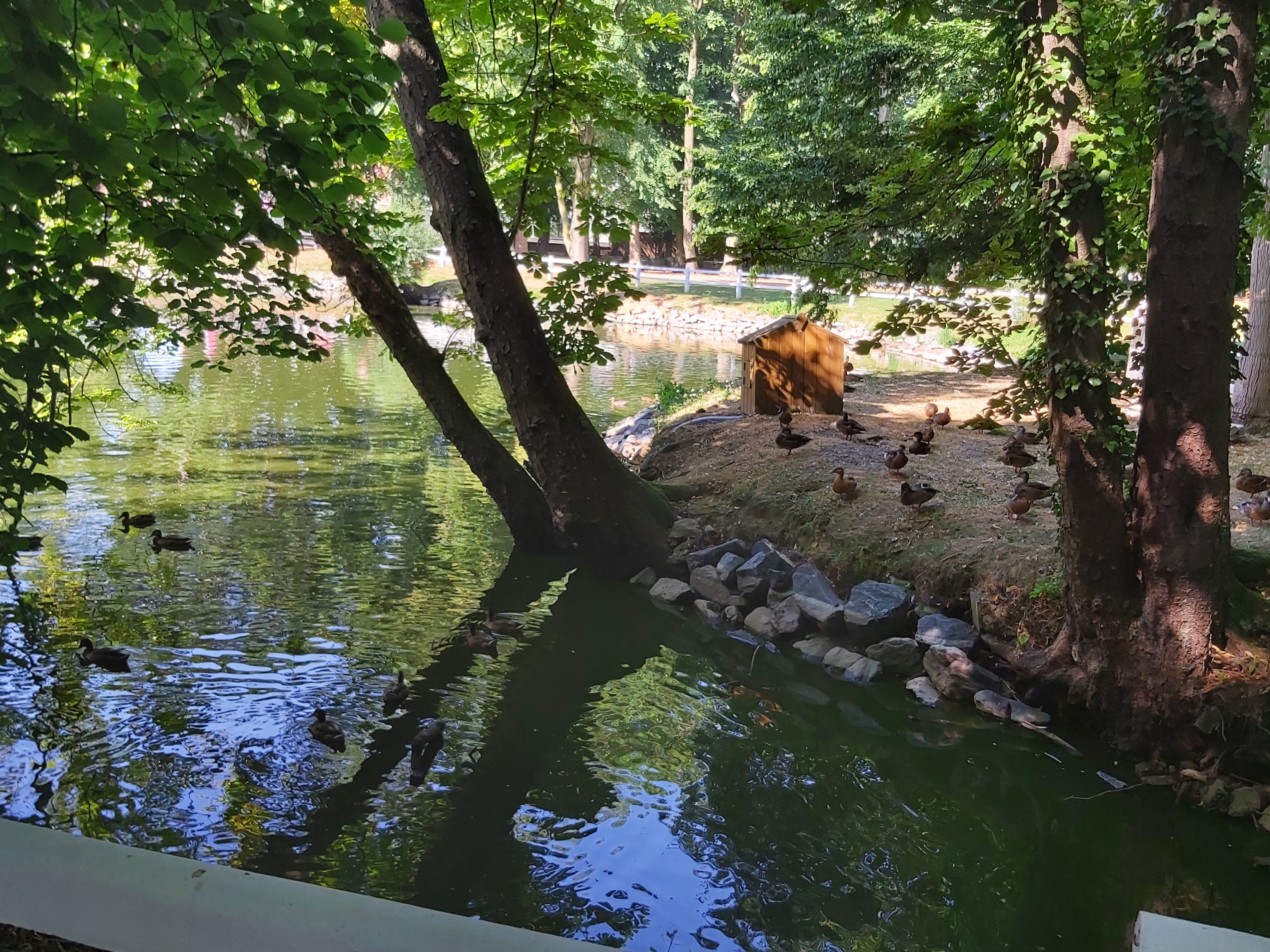 Photo n° 9 de l'avis de Sam. fait le 23/07/2019 à 08:35