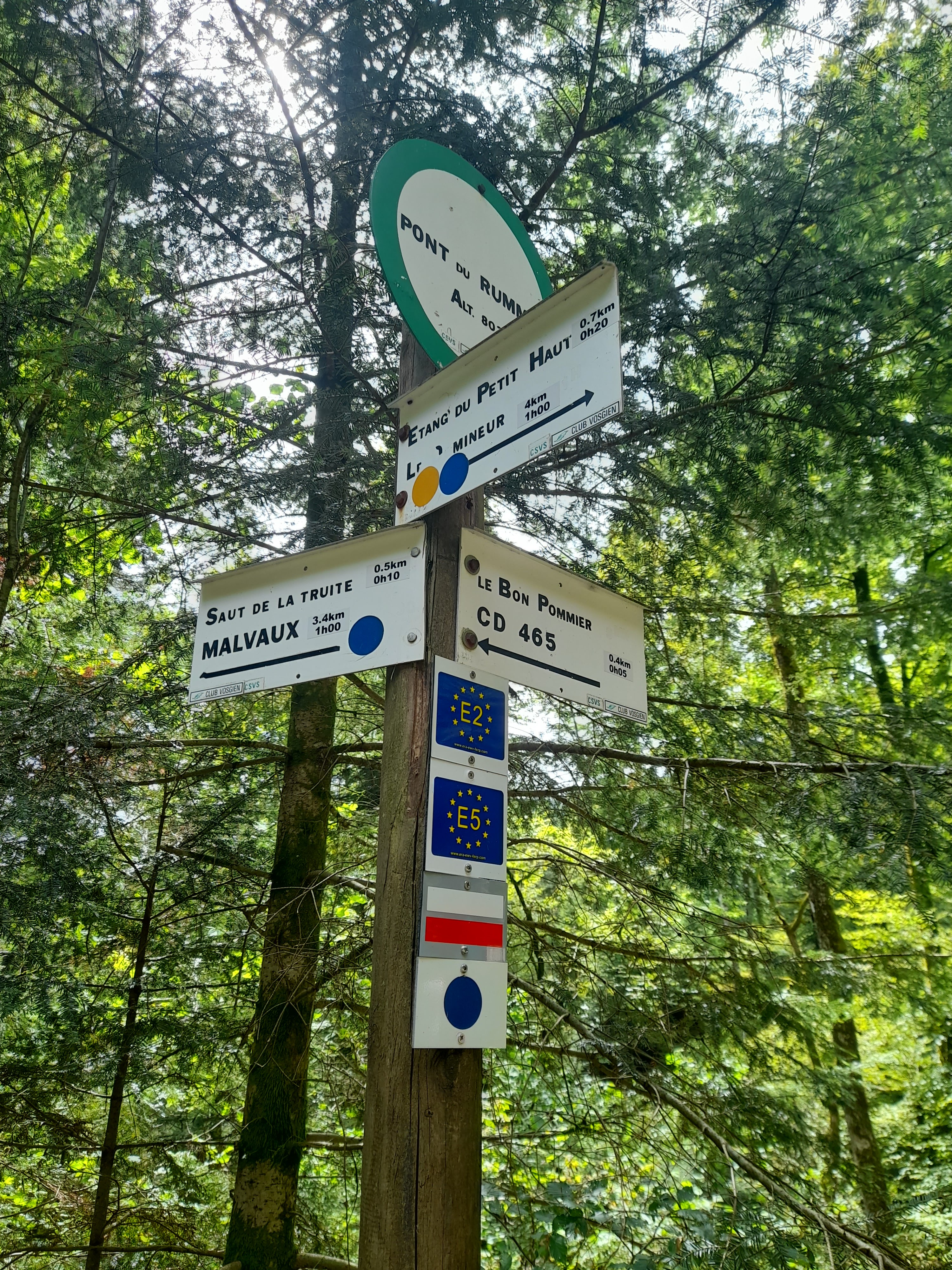 Photo n° 1 de l'avis de Graziella.i fait le 17/08/2023 à 19:20