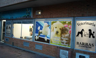 Salón de Belleza Canino y Felino Profesional Barbas