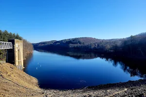 Pleasant Hill Dam image