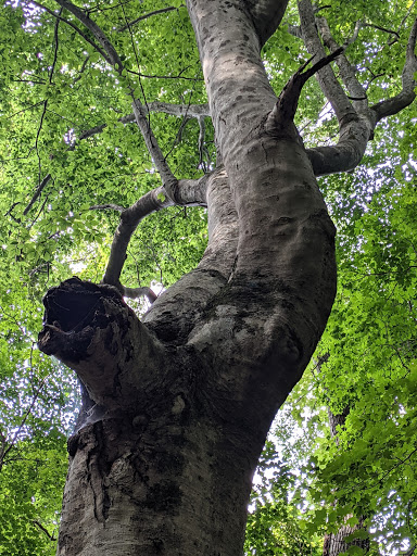 Park «Percy Warner Park», reviews and photos, 7311 Tennessee 100, Nashville, TN 37221, USA