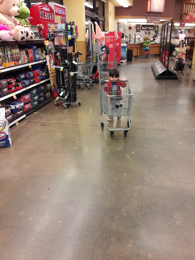 Grocery Store «Ralphs», reviews and photos, 18010 Chatsworth St, Granada Hills, CA 91344, USA