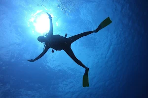 Barefoot Dive Center Cozumel image