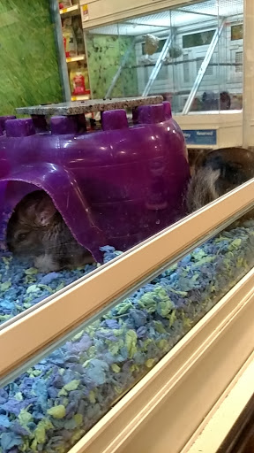 Pet Supply Store «PetSmart», reviews and photos, 6960 Amador Plaza Rd, Dublin, CA 94568, USA