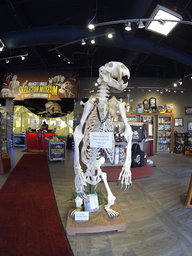 Museum «SKELETONS: Museum Of Osteology», reviews and photos, 8441 International Dr Suite 250, Orlando, FL 32819, USA