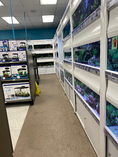 Pet Supply Store «Petco Animal Supplies», reviews and photos, 31090 Dyer St, Union City, CA 94587, USA