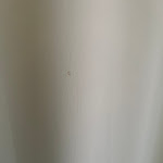 Photo n°3 de l'avis de Mrs..l fait le 09/07/2023 à 08:33 sur le  Wyndham Stralsund HanseDom à Stralsund