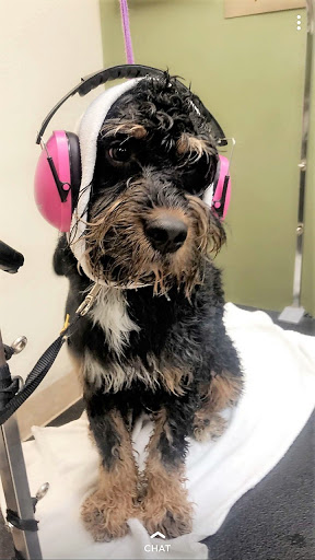 Pet Store «Earthwise Pet - Southlake», reviews and photos, 100 W Southlake Blvd #150, Southlake, TX 76092, USA