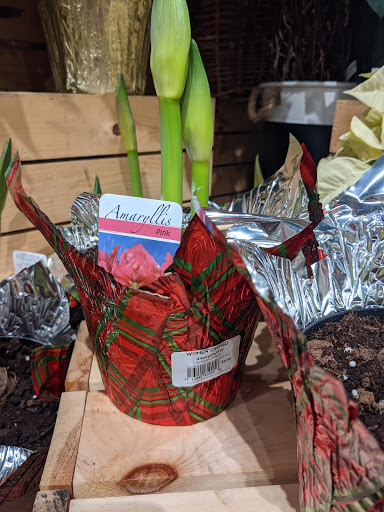 Grocery Store «The Fresh Market», reviews and photos, 12628 Tamiami Trail E, Naples, FL 34113, USA