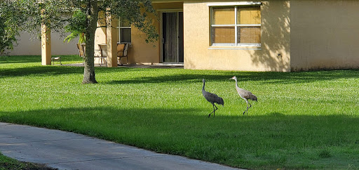 Golf Club «The Champion Turf Club at St. James», reviews and photos, 7900 Selvitz Rd, Port St Lucie, FL 34983, USA