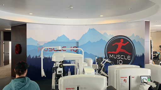 Muscle IQ Physical Therapy