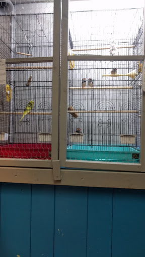 Pet Store «AquaVarium Pets And Supplies», reviews and photos, 95 W Bridge St, Catskill, NY 12414, USA