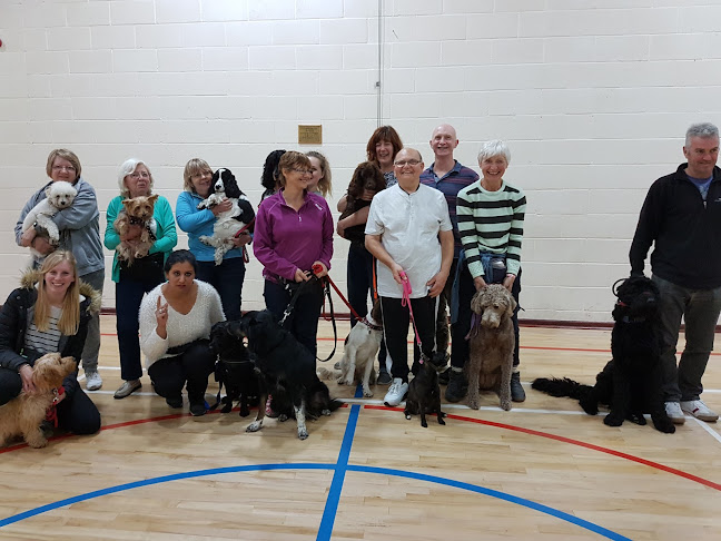Mona Puppy & Dog Training Classes - Telford