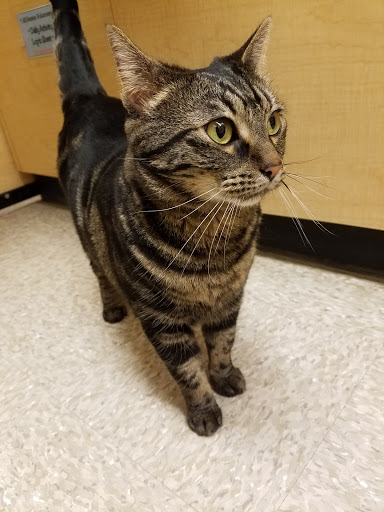 Pet Supply Store «PetSmart», reviews and photos, 1203 N Landing Way, Renton, WA 98057, USA