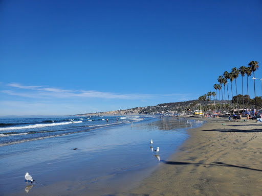 La Jolla Shores Beach