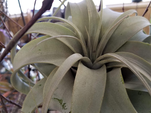 Florist «La Crosse Floral», reviews and photos, 2900 Floral Ln, La Crosse, WI 54601, USA